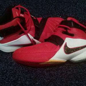 Cavaliers labrons